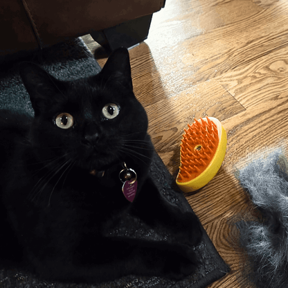 PETPAL™ Premium Pet Brush